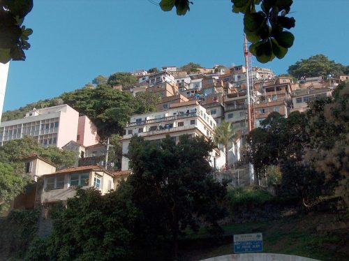 2004Botano061